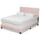 Caprice Modern and Contemporary Glam Light Pink Velvet Fabric Upholstered Queen Size Panel Bed FredCo