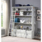Cargo Bookshelf & Ladder White FredCo