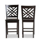 Caron Modern and Contemporary Transitional Dark Brown Finished Wood 2-Piece Counter Stool Set FredCo