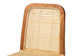 Caspia Mid-Century Modern Walnut Brown Finished Wood and Natural Rattan 2-Piece Dining Chair Set FredCo
