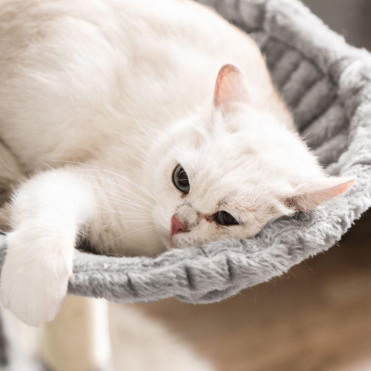 Cat Tree Light Gray 65" tall FredCo
