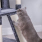 Cat Tree Smoky Gray FredCo