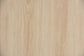 Caterina Mid-Century Modern Transitional Natural Brown Finished Wood and Natural Rattan 2-Door Storage Cabinet FredCo