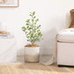 Ceramic Plant Pot Brushed White and Gold FredCo