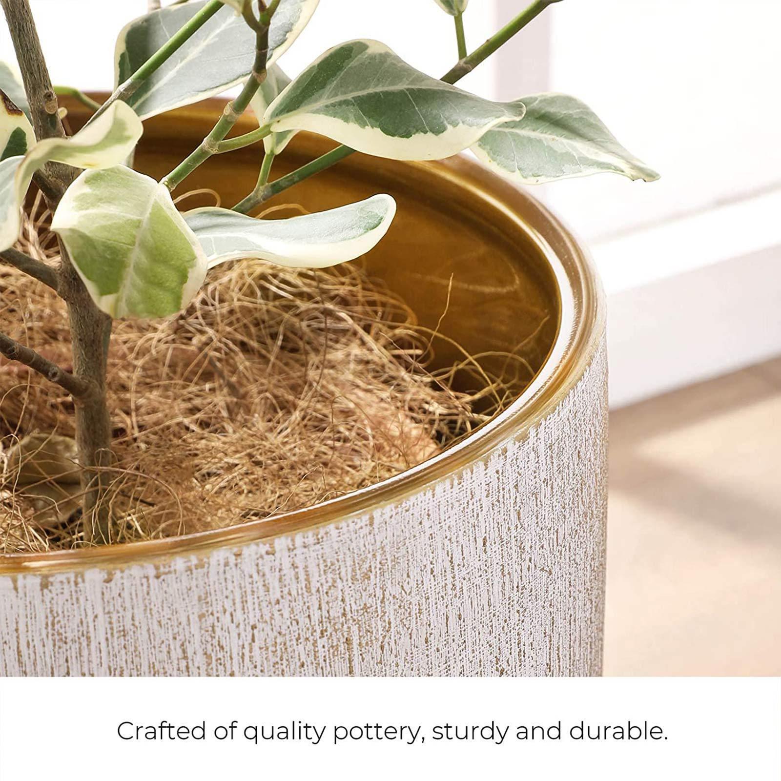Ceramic Plant Pot Brushed White and Gold FredCo