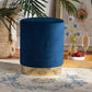Chaela Contemporary Glam and Luxe Navy Blue Velvet Fabric Upholstered and Gold Finished Metal Ottoman FredCo