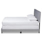 Clare Glam and Luxe Grey Velvet Fabric Upholstered Queen Size Panel Bed with Channel Tufted Headboard FredCo