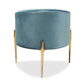 Clarisse Glam and Luxe Light Blue Velvet Fabric Upholstered Gold Finished Accent Chair FredCo