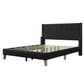 Contemporary Velvet Upholstered Bed Frame with Channel Tufting and Nailhead Trim, Queen, Black FredCo