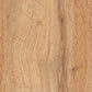 Coolidge Modern and Contemporary Oak Brown Finished Wood 2-Door Shoe Storage Cabinet FredCo