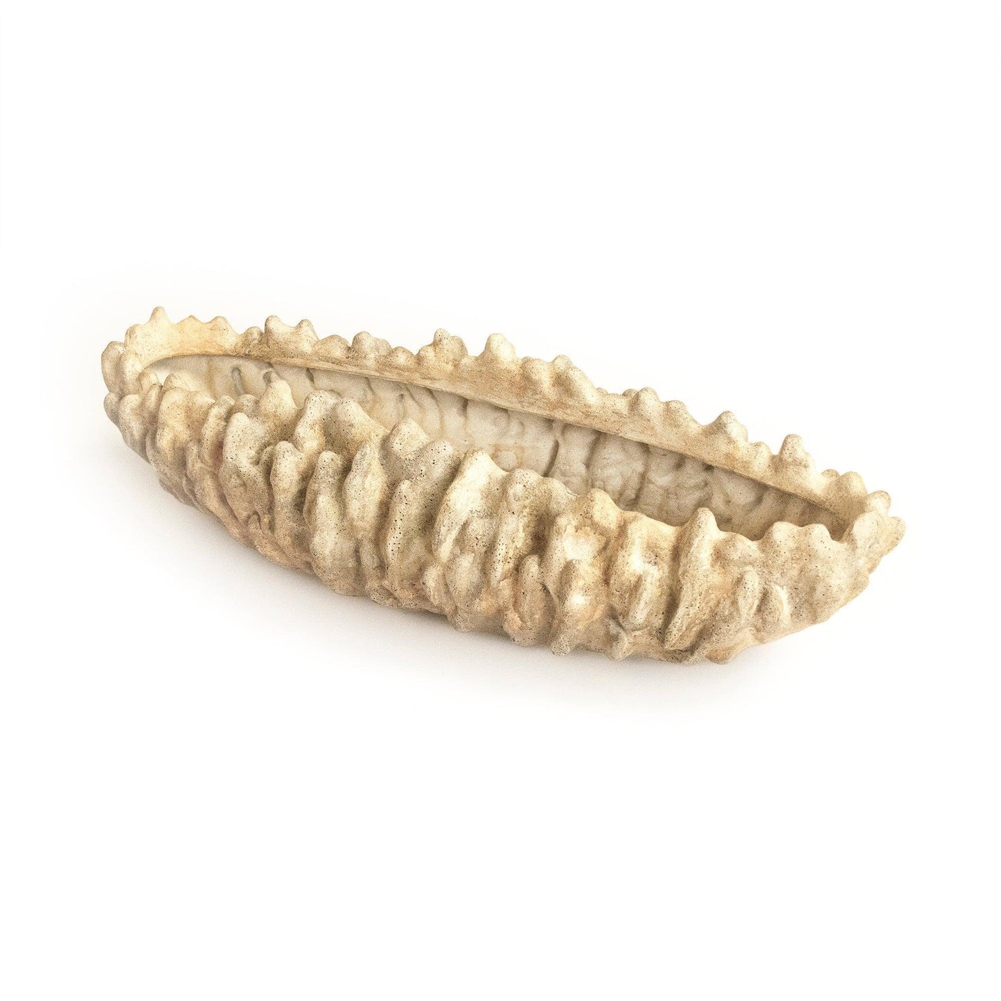 Coral Shell Bowl SHI057 FredCo