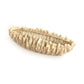 Coral Shell Bowl SHI057 FredCo