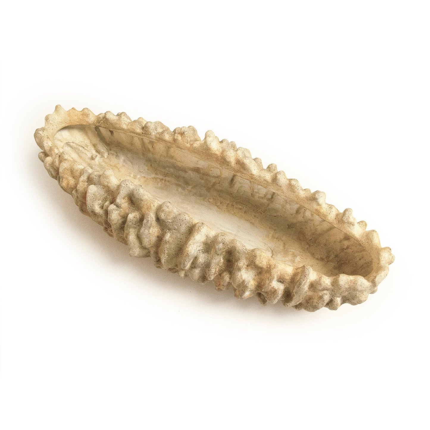 Coral Shell Bowl SHI057 FredCo