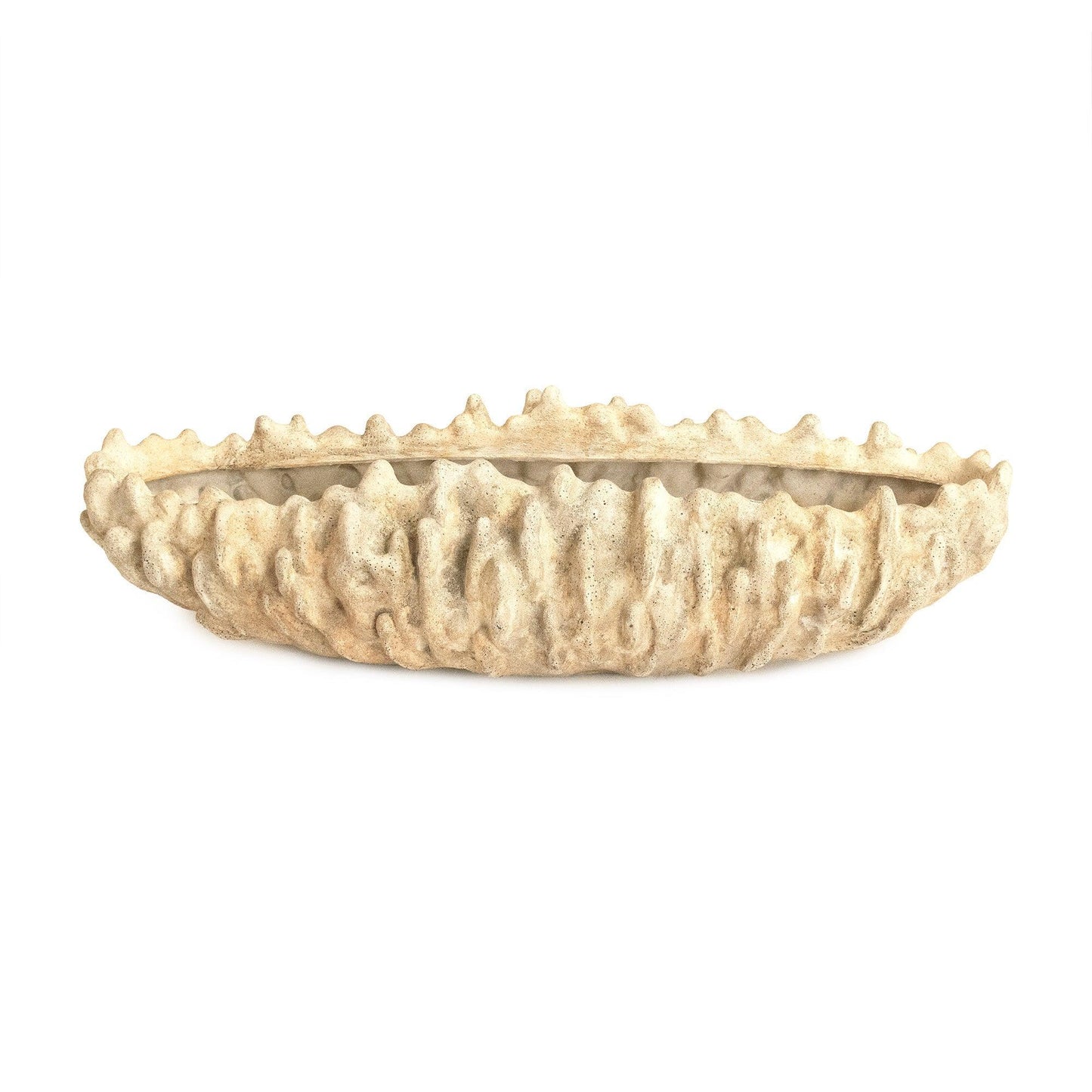 Coral Shell Bowl SHI057 FredCo
