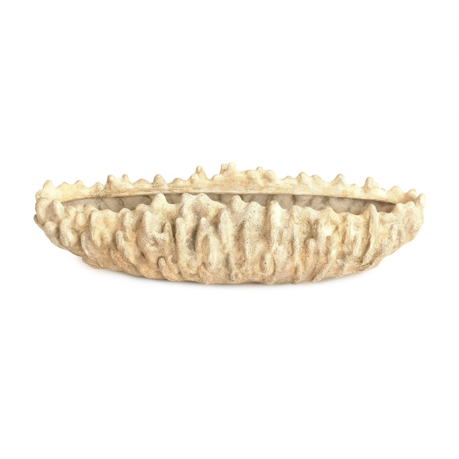 Coral Shell Bowl SHI057 FredCo