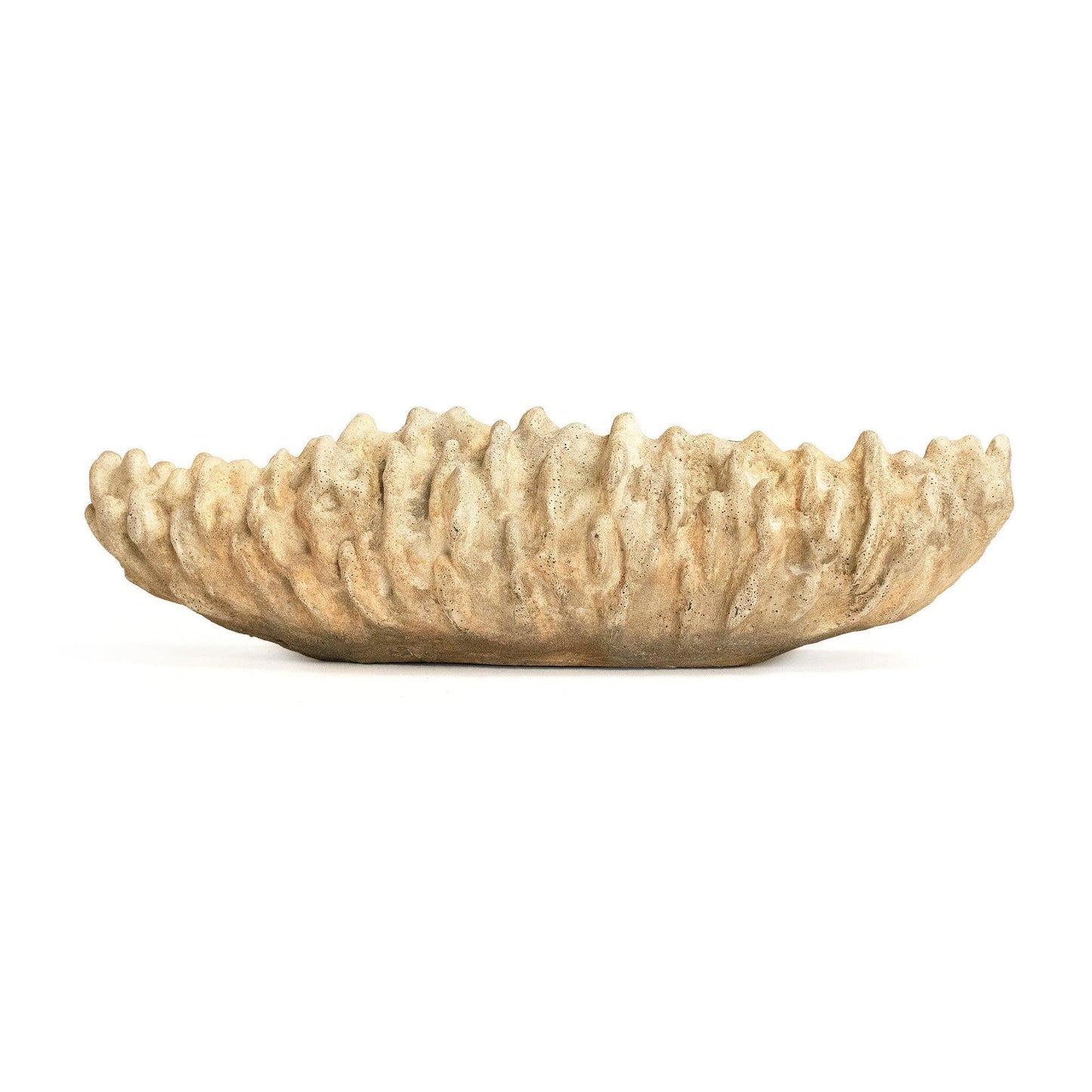 Coral Shell Bowl SHI057 FredCo