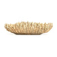 Coral Shell Bowl SHI057 FredCo