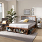 Cosma Modern Transitional Ash Walnut Brown Finished Wood 4-Drawer King Size Platform Storage Bed FredCo