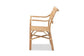 Damani Modern Bohemian Natural Brown Finished Rattan Dining Chair FredCo