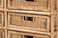 Dariana Modern Bohemian Natural Brown Rattan 6-Drawer Storage Cabinet FredCo