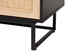 Declan Mid-Century Modern Espresso Brown Finished Wood and Natural Rattan 2-Door Storage Cabinet FredCo