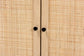 Declan Mid-Century Modern Espresso Brown Finished Wood and Natural Rattan 2-Door Storage Cabinet FredCo