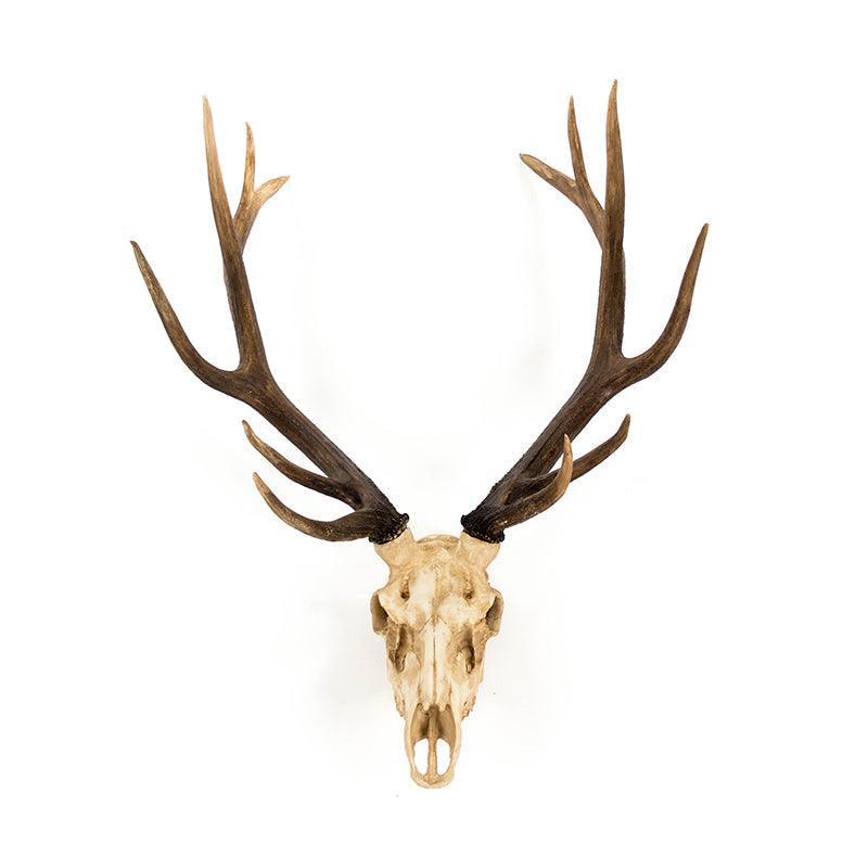 Deer Skull Wall Decor SHI017 FredCo