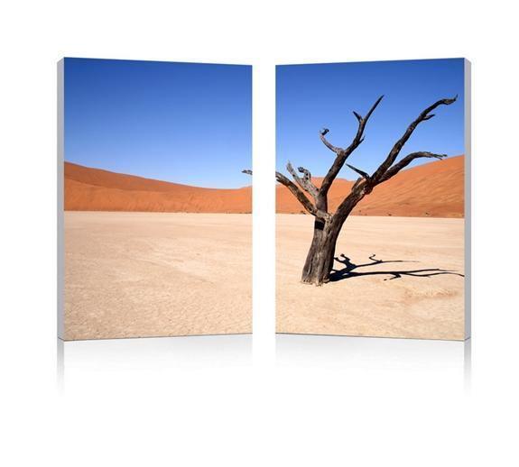 Desert Solitude Mounted Photography Print Diptych FredCo