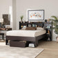 Dexton Modern and Contemporary Dark Brown Finished Wood Queen Size Platform Storage Bed FredCo