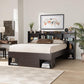 Dexton Modern and Contemporary Dark Brown Finished Wood Queen Size Platform Storage Bed FredCo