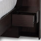 Dexton Modern and Contemporary Dark Brown Finished Wood Queen Size Platform Storage Bed FredCo
