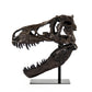 Dinosaur Skull w/ Base SHI014 FredCo
