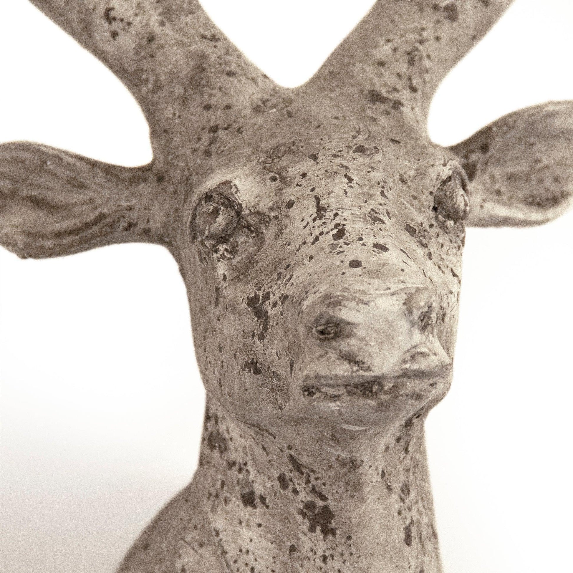 Distressed Grey Wash Deer Head (6552S A344) FredCo
