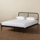 Dora Modern and Contemporary Industrial Black Finished Metal Queen Size Platform Bed FredCo