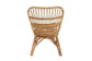 Earvin Modern Bohemian Natural Brown Rattan 2-Piece Armchair and Footstool Set FredCo