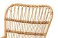 Earvin Modern Bohemian Natural Brown Rattan 2-Piece Armchair and Footstool Set FredCo