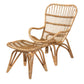 Earvin Modern Bohemian Natural Brown Rattan 2-Piece Armchair and Footstool Set FredCo