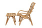 Earvin Modern Bohemian Natural Brown Rattan 2-Piece Armchair and Footstool Set FredCo