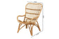 Earvin Modern Bohemian Natural Brown Rattan Armchair FredCo