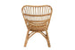 Earvin Modern Bohemian Natural Brown Rattan Armchair FredCo
