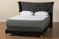 Easton Contemporary Glam and Luxe Black Velvet and Gold Metal Queen Size Panel Bed FredCo