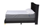 Easton Contemporary Glam and Luxe Black Velvet and Gold Metal Queen Size Panel Bed FredCo