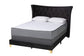 Easton Contemporary Glam and Luxe Black Velvet and Gold Metal Queen Size Panel Bed FredCo