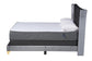 Easton Contemporary Glam and Luxe Grey Velvet and Gold Metal Queen Size Panel Bed FredCo