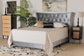 Easton Contemporary Glam and Luxe Grey Velvet and Gold Metal Queen Size Panel Bed FredCo
