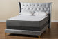 Easton Contemporary Glam and Luxe Grey Velvet and Gold Metal Queen Size Panel Bed FredCo