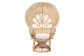 Ediva Modern Bohemian Natural Brown Rattan Peacock Accent Chair FredCo
