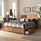 Eleni Modern and Contemporary Transitional Ash Walnut Brown Finished Wood Queen Size 3-Drawer Platform Storage Bed FredCo