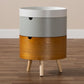 Elison Mid-Century Modern Multi Color 3-Tier Wood Nightstand FredCo