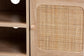 Elsbeth Mid-Century Modern Light Brown Finished Wood and Natural Rattan 2-Door TV Stand FredCo